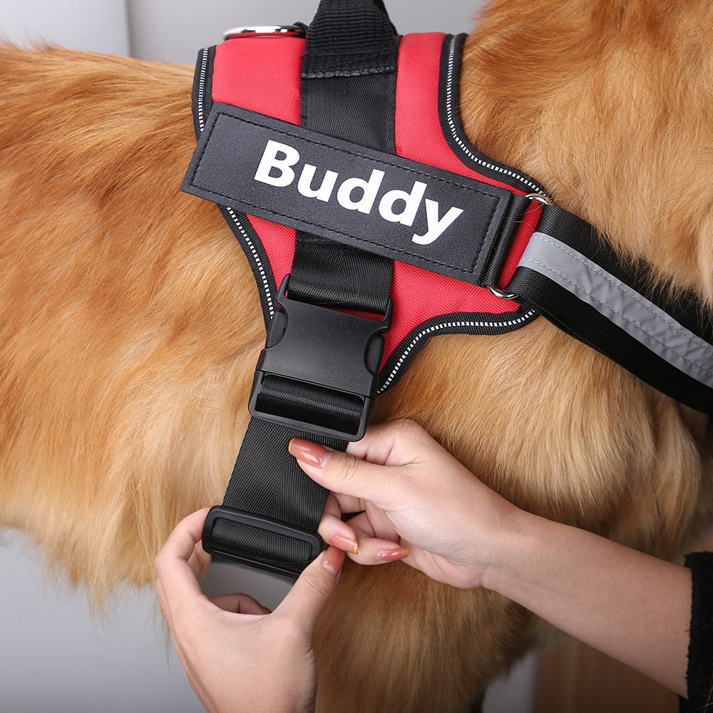 DoggyKings™ Ultimate Personalized No Pull Dog Harness
