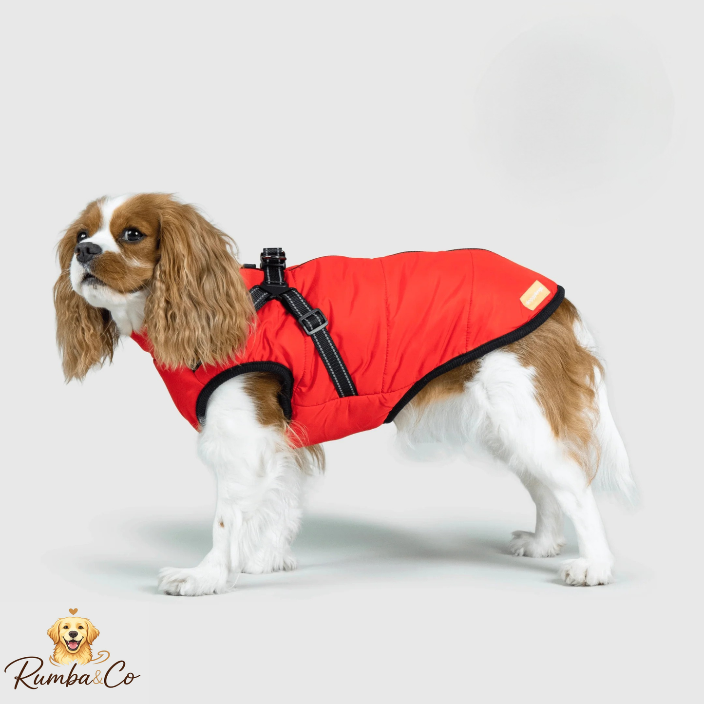 Rumba&Co™ 3 in 1 Waterproof Jacket