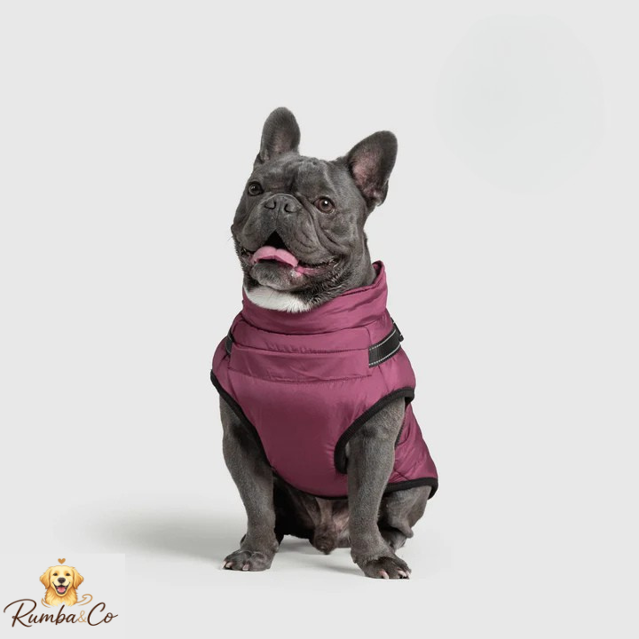 Rumba&Co™ 3 in 1 Waterproof Jacket