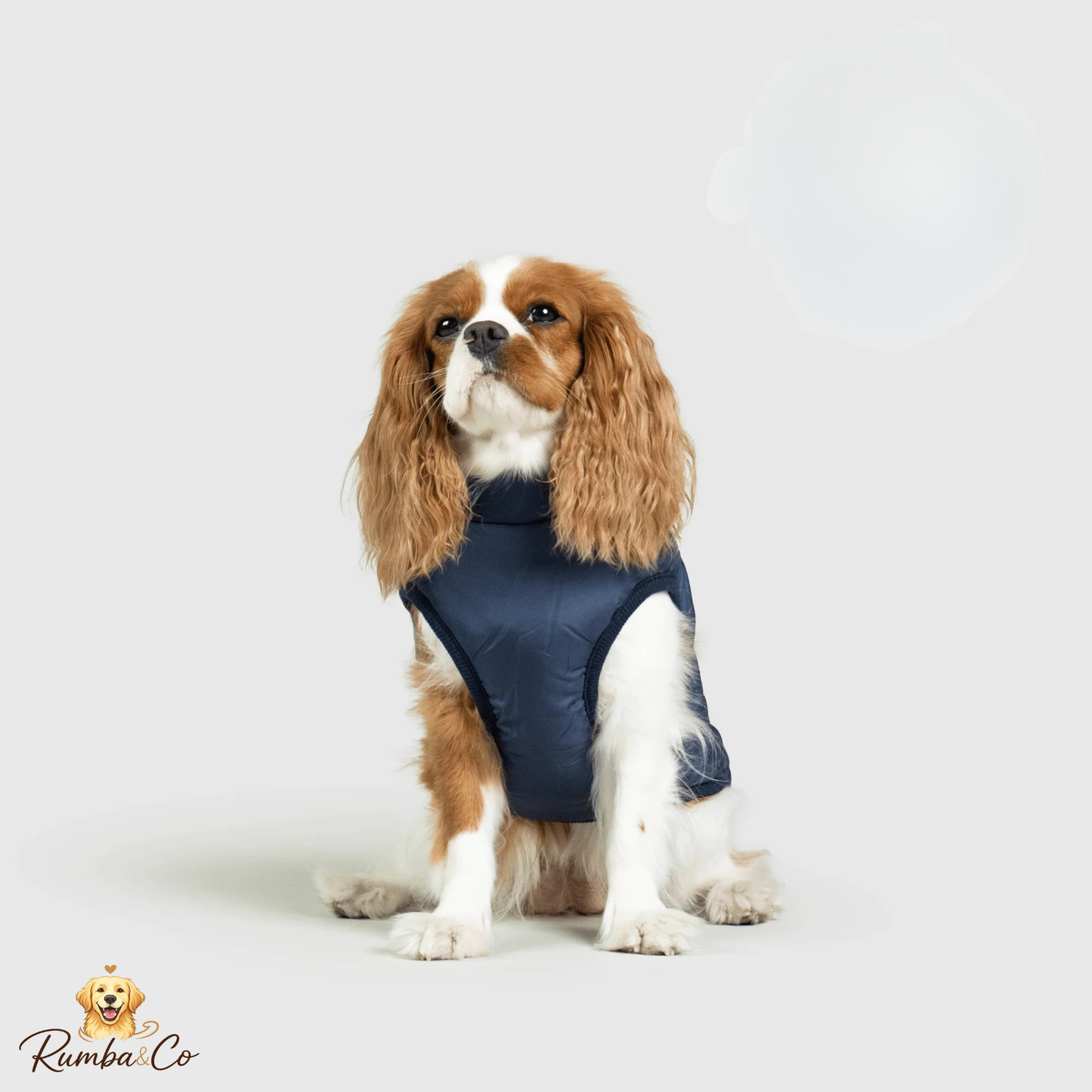 Rumba&Co™ 3 in 1 Waterproof Jacket