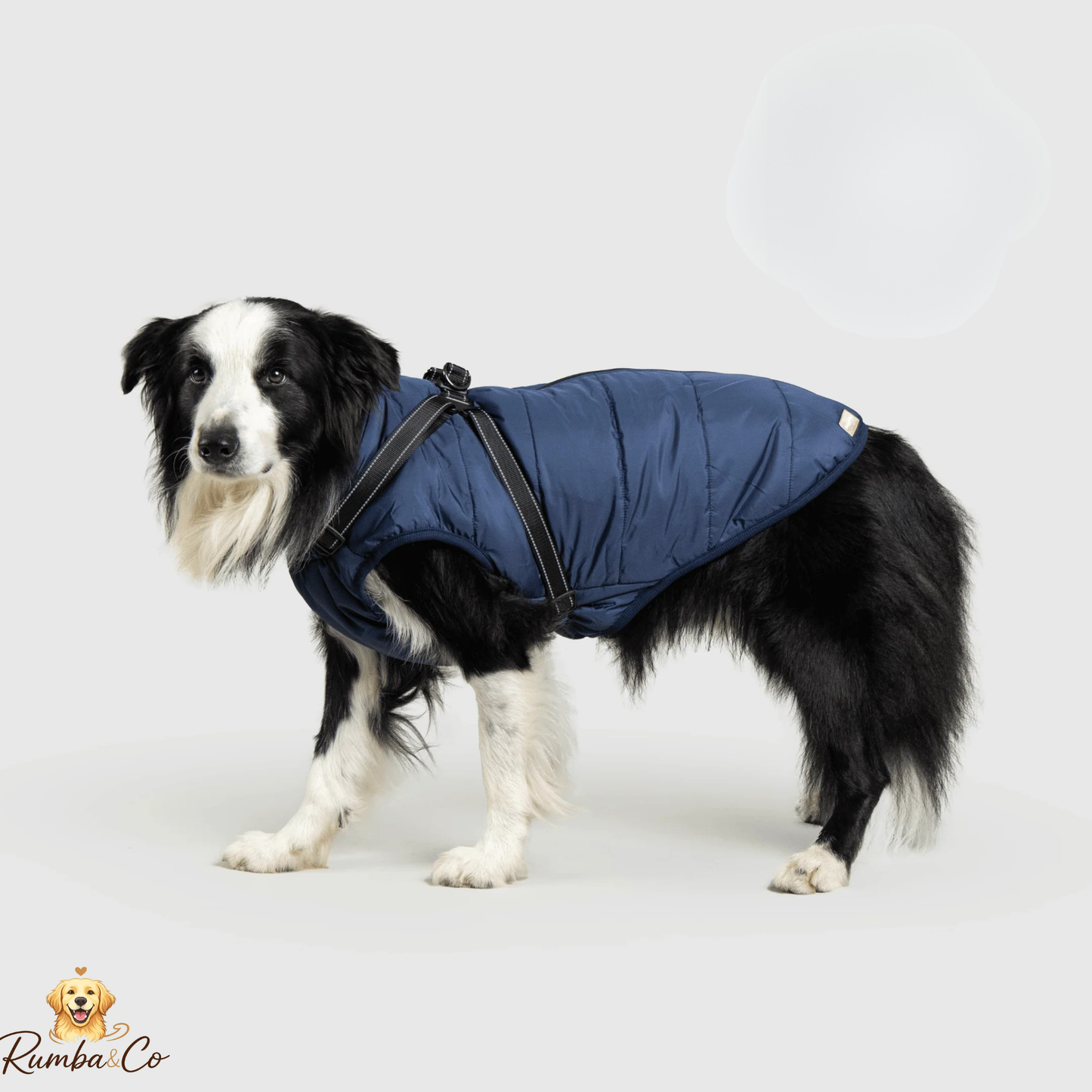 Rumba&Co™ 3 in 1 Waterproof Jacket