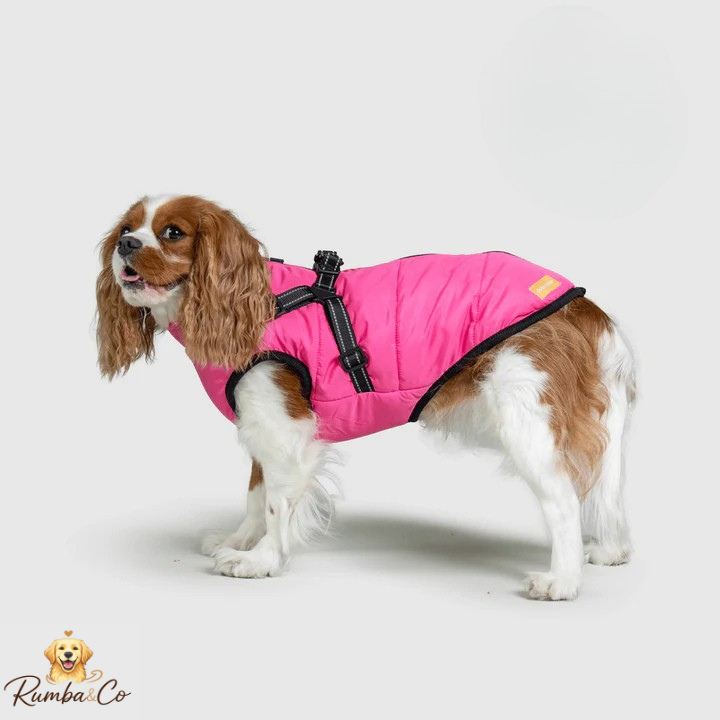 Rumba&Co™ 3 in 1 Waterproof Jacket