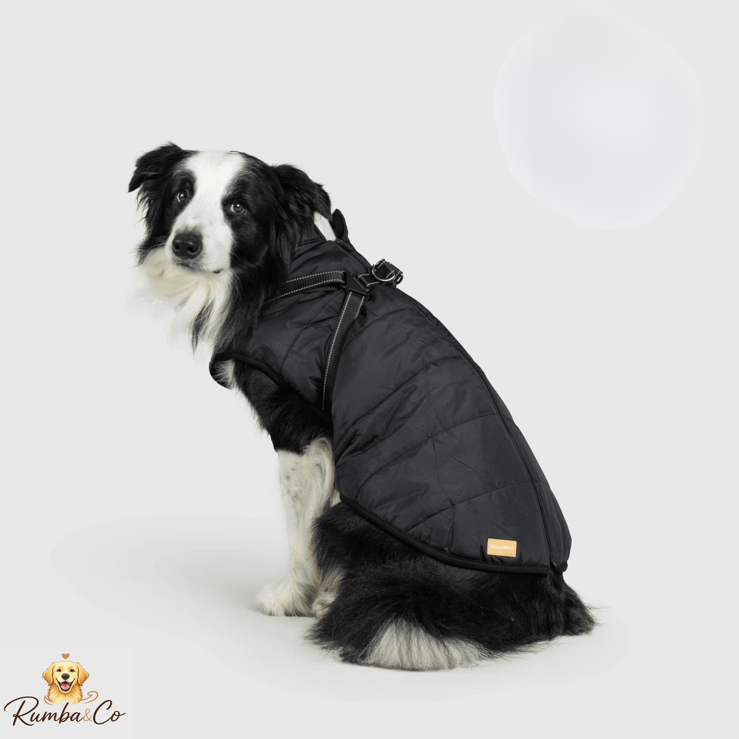 Rumba&Co™ 3 in 1 Waterproof Jacket